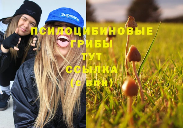 мдма Михайловка