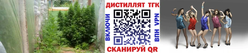 ТГК концентрат  Николаевск 