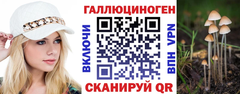 Галлюциногенные грибы GOLDEN TEACHER  что такое наркотик  дарк нет какой сайт  Николаевск 